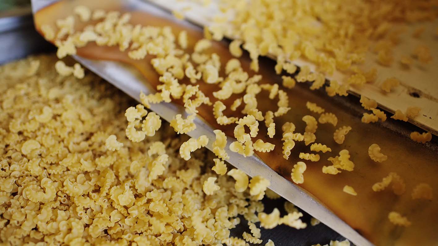 Food processing plant for pasta production