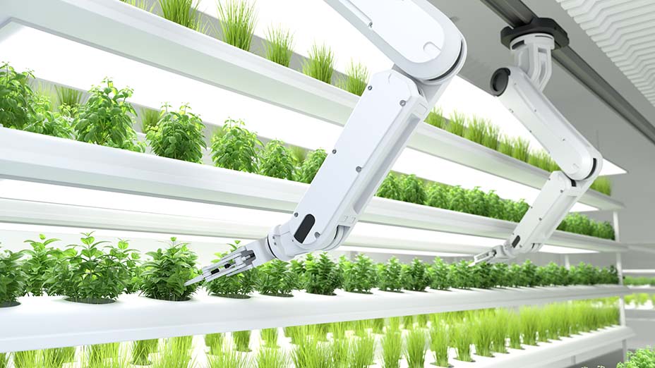 Robotic farming
