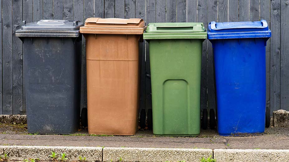 Wheelie bins in a row for segregated rubbish collection