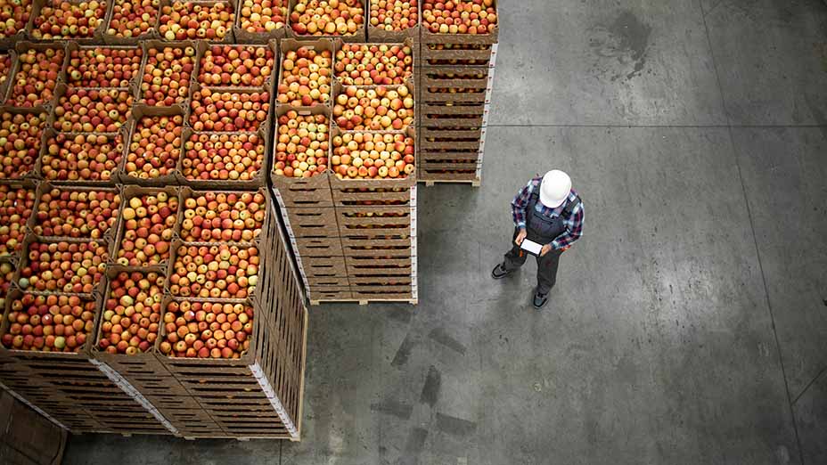 worker-with-crates-in-warehouse.jpg