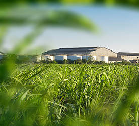 climate change agreements