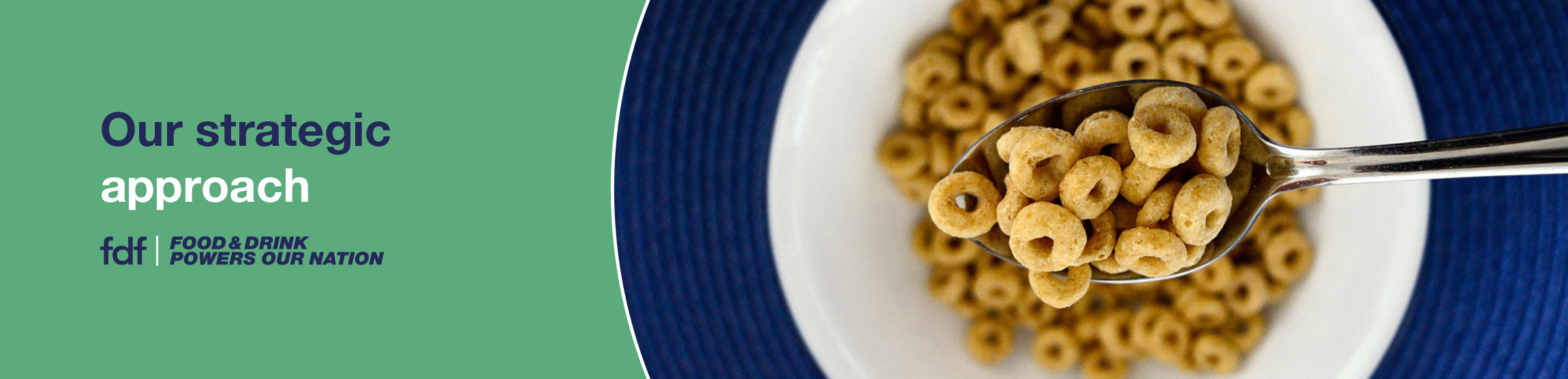 our-strategic-approach-header-new.jpg